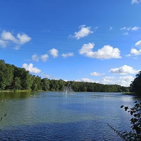*Dana Pokoje Goscinne Gdansk Luaran gambar