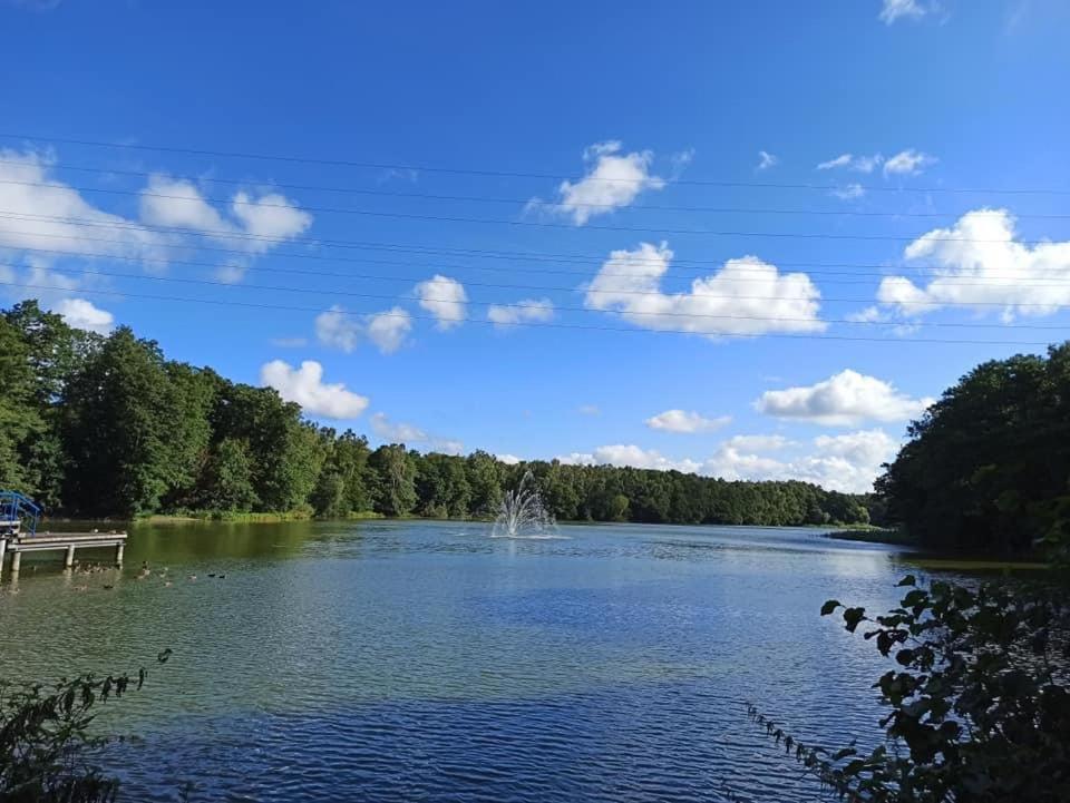 *Dana Pokoje Goscinne Gdansk Luaran gambar