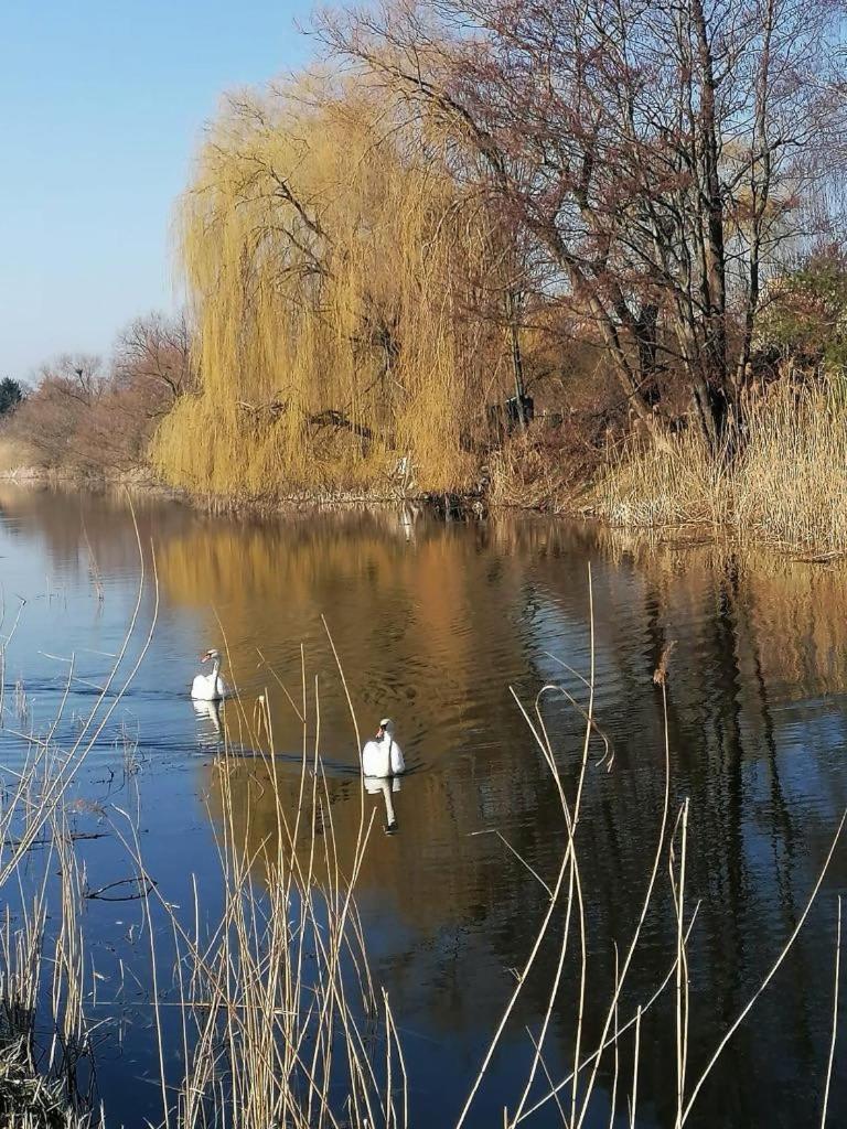 *Dana Pokoje Goscinne Gdansk Luaran gambar